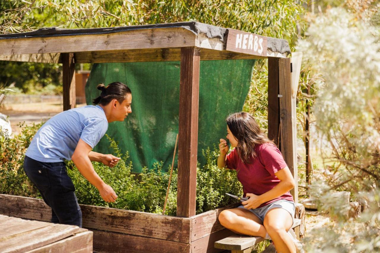 Yha Grampians Eco, 홀스갭 외부 사진