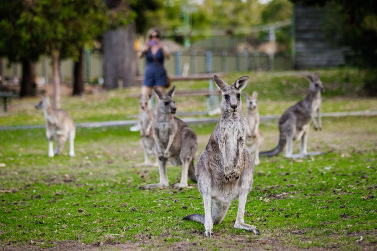 Yha Grampians Eco, 홀스갭 외부 사진