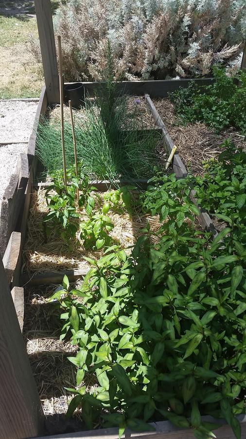 Yha Grampians Eco, 홀스갭 외부 사진