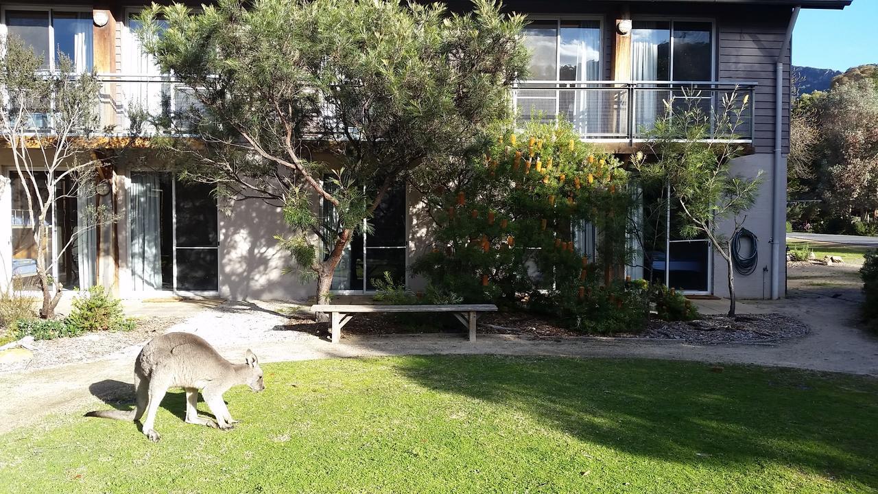Yha Grampians Eco, 홀스갭 외부 사진