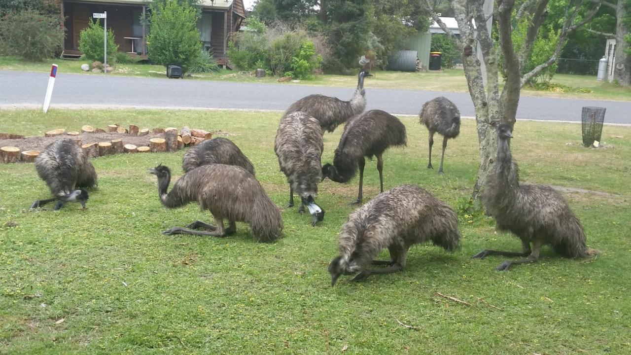 Yha Grampians Eco, 홀스갭 외부 사진